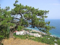 ��������� �����  - ����������� �� RCC-TRAVEL.RU